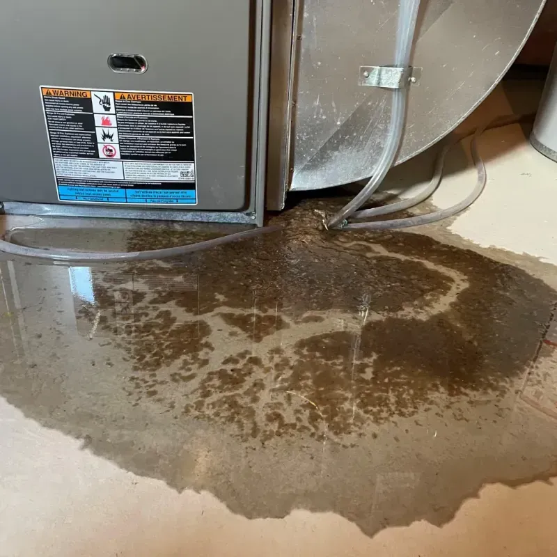 Appliance Leak Cleanup in Oak Park, IN